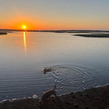 Chalet A 2 Kilometros De La Playa Chiclana de la Frontera Εξωτερικό φωτογραφία