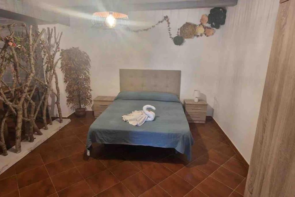 Chalet A 2 Kilometros De La Playa Chiclana de la Frontera Εξωτερικό φωτογραφία